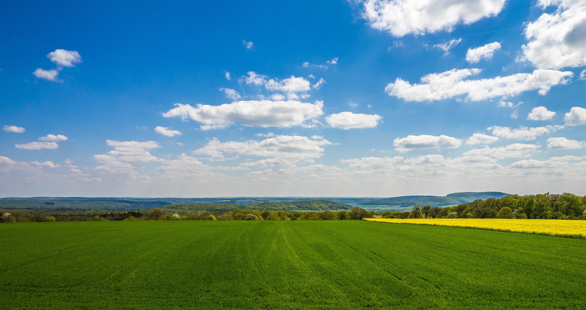 Zusammenhalt